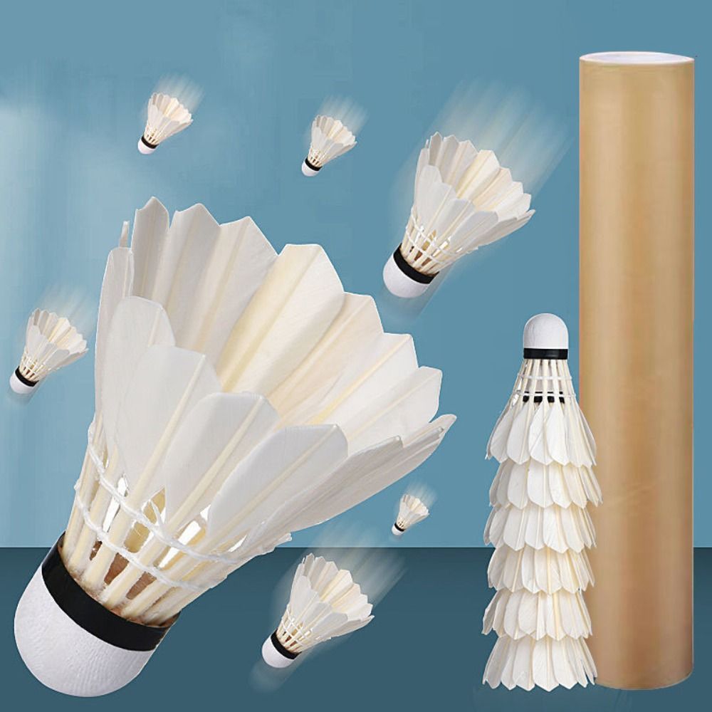 3/6/12 Stück Neue Weiße Badmin – Feather Shuttlecock Bewertung und Preis